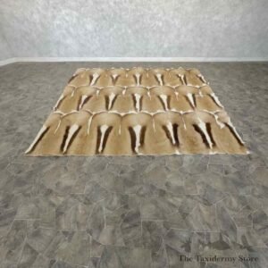african springbok hide throw for sale 31041 the taxidermy store.jpeg