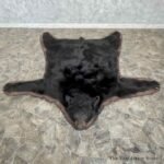 black bear full size rug for sale 31030 the taxidermy store.jpeg
