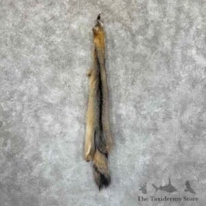 grey fox tanned hide for sale 30962 the taxidermy store.jpeg