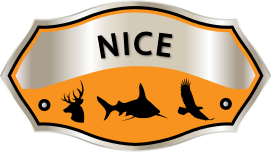 nice