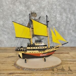 novelty grey squirrel mount for sale 29093 the taxidermy store.jpeg